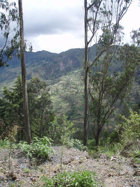 Copy of PC271440.JPG